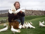 Doves At Iona