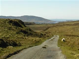 The roads on Mull