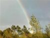 Rainbow over Tobermory